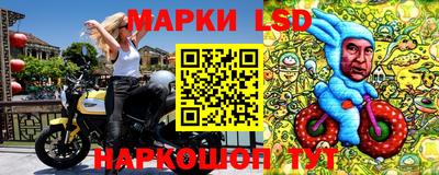 соль ск Будённовск