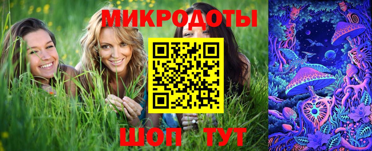 Псилоцибиновые грибы мицелий Кудымкар