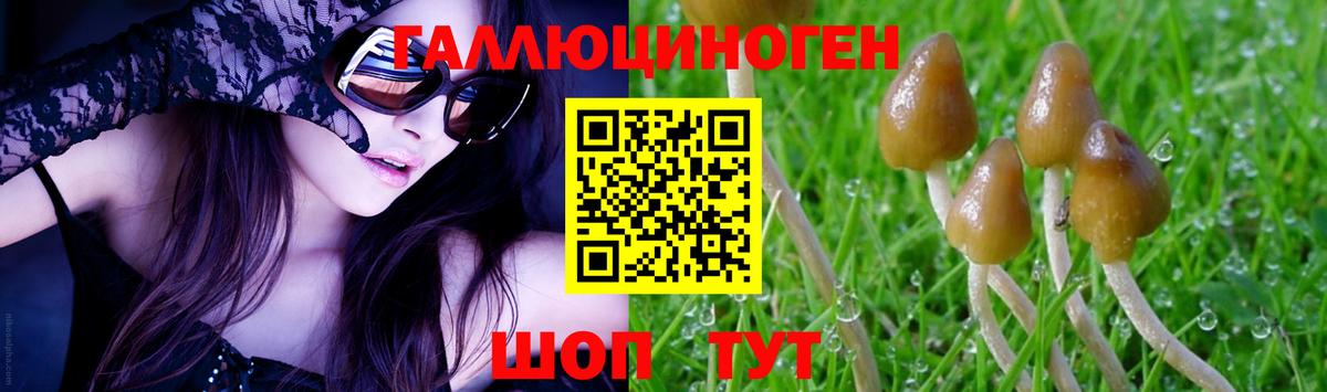 Кудымкар  Галлюциногенные грибы мицелий  Вход с VPN 